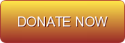 Image: Donate Now Button